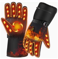 Rechargeable Heated Gloves - Supergold Corporation Limited